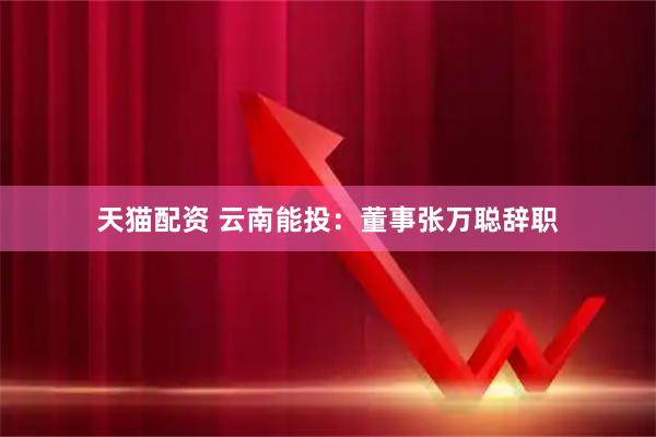 天猫配资 云南能投：董事张万聪辞职