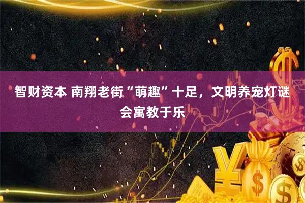 智财资本 南翔老街“萌趣”十足，文明养宠灯谜会寓教于乐