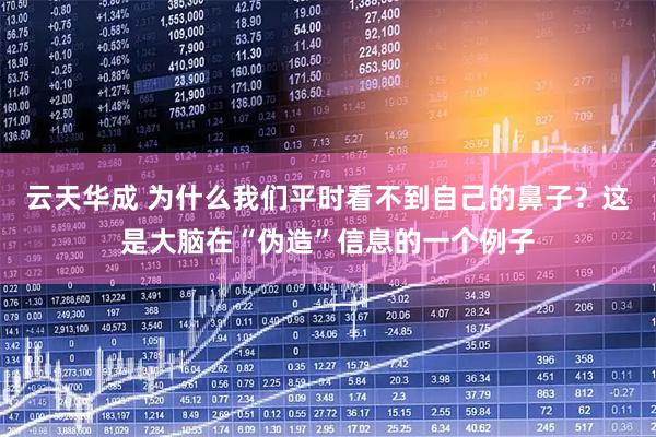 云天华成 为什么我们平时看不到自己的鼻子？这是大脑在“伪造”信息的一个例子