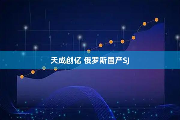 天成创亿 俄罗斯国产SJ