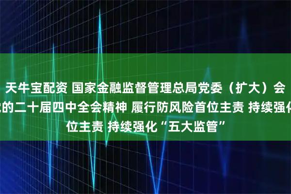 天牛宝配资 国家金融监督管理总局党委（扩大）会议学习贯彻党的二十届四中全会精神 履行防风险首位主责 持续强化“五大监管”