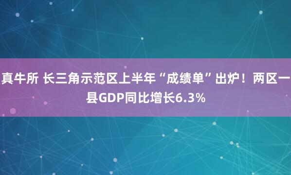 真牛所 长三角示范区上半年“成绩单”出炉！两区一县GDP同比增长6.3%
